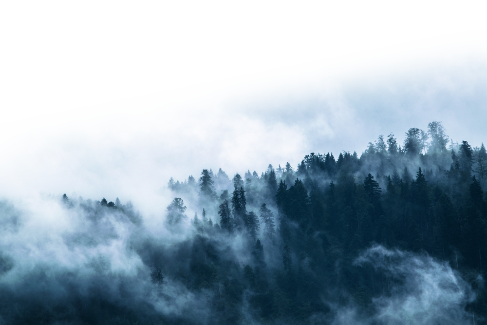 Retail background image